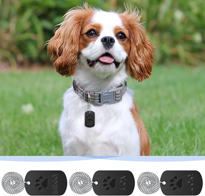 200Pcs Military Dog Tags Set - Rectangle Blank Metal Stamping Tags Including 100Pcs Aluminum & 100Pcs Ball Steel Chains Personalized Pets Tags for DIY Decorative Craft (Black)