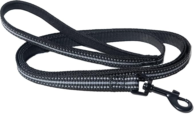 Travel Cat & Stray Cat Harness and Leash Set - Adjustable Velcro Mesh Cat Harness and Strong Nylon Leash Kit - Comfort Escape Proof Harness for Cats, Kitten for Outdoor Walking,Hiking (Medium:9-11 in)