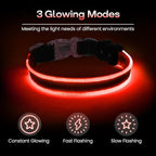 PcEoTllar Light up Dog Collars Rechargeable, LED Dog Collar Night Walking, Waterproof Flashing Glow in The Dark Dog Collars, Adjustable Dog Lights for Large Small Medium Dogs Red-m