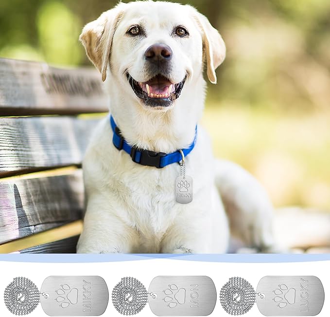 100Pcs Military Dog Tags, Rectangle Blank Metal Stamping Tags Set Including 50Pcs Aluminum Blank Dog Tags 50Pcs Ball Steel Chains Personalized Pets Tags for DIY Decorative Craft (Sliver)