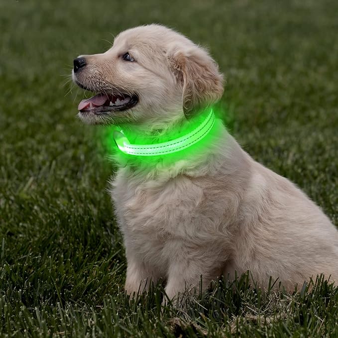 Light Up Collar for Small Dogs Cats - Reflective LED Dog Collar Glow in The Dark, Safety Pet Collar Lights for Nighttime Walking (Green)