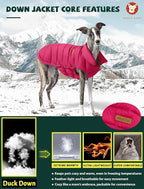 SPACE LION Puffer Jacket, Down Winter Coat, Waterproof, Windproof, Lightweight Jacket, Adjustable Fit for Small Dogs(Red,XS)