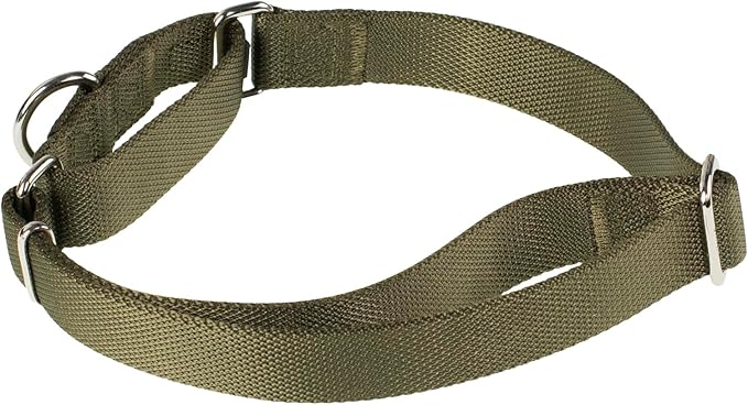 Hyhug Martingale Collar for Dogs Large Green |Escape - Proof Heavy Duty Nylon Durable No Pull, Ideal for Training & Daily Walks