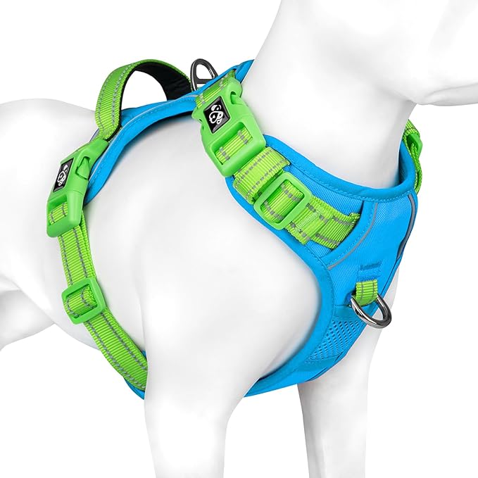 PHOEPET No Pull Dog Harness, Unique Colors Reflective Adjustable Dog Vest, with Soft Training Handle Metal Clips for Small Medium Large Dogs (Blue Base & Green Straps,M)