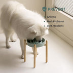 9.5inch Ceramic Raised Slow Feeder Dog Bowl Set, Elevated Bowl with Wooden Stand for Large Dog, Puzzle Slow Pet Food Dish, Preventing Choking(Light Green, Single Bowl+ Stand)