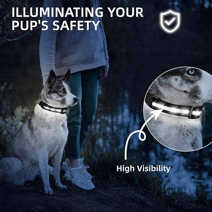 Super Bright LED Dog Collar - Fully Waterproof & Adjustable Glow Collar - USB-C Rechargeable for Night Walking, Safety - Flashing Lighted Collar for Dogs(White,L)
