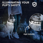 Super Bright LED Dog Collar - Fully Waterproof & Adjustable Glow Collar - USB-C Rechargeable for Night Walking, Safety - Flashing Lighted Collar for Dogs(White,Small)