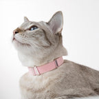 Safety Cat Collar - U.S. IDA Gold Awarding Design, Stretch Elastic Quick Release, Non Breakaway - Light Weight for Kitten, Neck Fit 5.9'-11.8' for All Small Large Cat,S(Alpine Green)