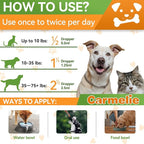 Oral Flea and Tick Support for Dogs and Cats, Natural Dog Flea and Tick Defense, Cat Flea Drops Supplements with Vitamin for Pets - All Breeds and Ages - Bacon