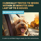 VetriScience Long Lasting Calm & Confident Calming Chews for Dogs, Supplement for Stress Support, Thunderstorms, Fireworks, & Travel, Chicken, Soft Chews, 90 Count - New Look