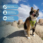 Voyager Escape-Proof Step-in Lock Cat Harness & 5ft Neoprene-Handle Leash Set All-Weather Mesh with Reflective Stitching for Small to Large Cats by Best Pet Supplies, Lime Green, XXS