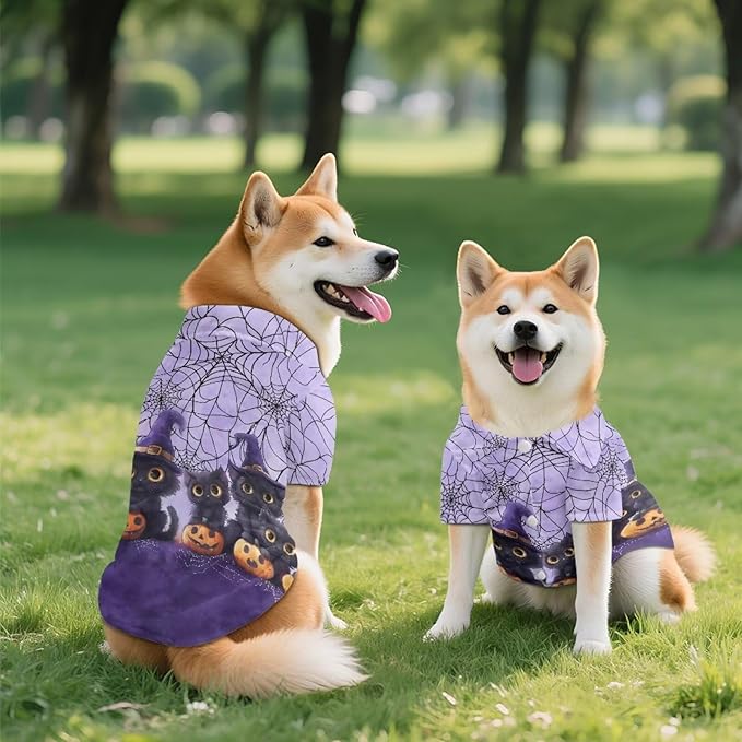 Black Cat Dog Halloween Shirt for Medium Dogs Puppy Polo T-Shirt with Collar Cute Holiday Costume for Chihuahua, Yorkie & Teacup Breeds Breathable Dog Apparel for Cat Boys Girls