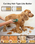 Pet Clippers for Dog Hair Grooming Low Noise, Rechargeable Cordless Cat Shaver with Ceramic Blade,Portable Pet Hair Trimmer for Matted & Long Hair
