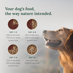 360 Pet Nutrition Freeze-Dried Raw Dog Food – Chicken Recipe with Liver & Organs, High Protein, Omega-3s, Fruits, Veggies & Superfoods, Grain-Free, No Fillers, 3 lb – Made in USA