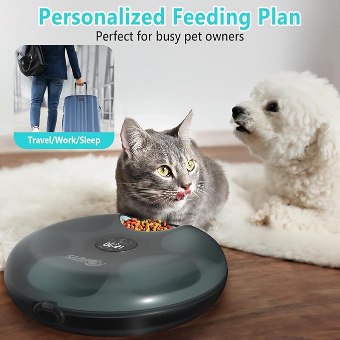 Ownpets Automatic Cat Feeder for Wet and Dry Food, with 2 Ice Packs, 6 Meals Programmable Timed Pet Feeder, Cordless Rechargeable Auto Feeder for Cats/Small Dogs, Black