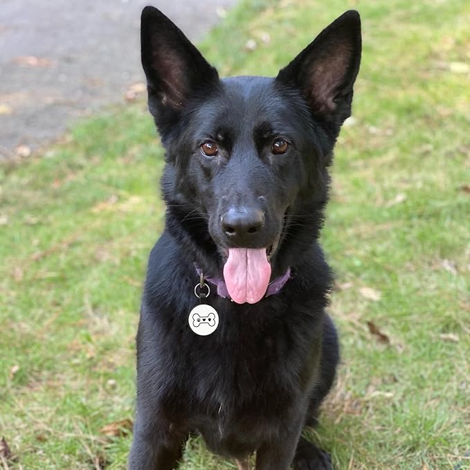 MYLUCKYTAG Silent Silicone QR Code Dog Tags - Scan QR for Instant Pet Location Alerts