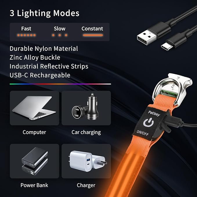 LED Dog Collar with Metal Buckle - USB Rechargeable Glow Collar for Dogs, Waterproof Light Up Dog Collar w/Reflective Strips - Adjustable Night Safety Collars by PetIsay(Orange,Large)