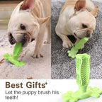 Chew Toy for Dog Toothbrush Stick Dog Toys for Aggressive Chewers Interactive Toys Treats Tough Toy to Keep Them Busy Chew for Small Dogs (Green, L)