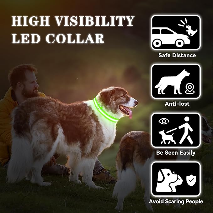 LED Light Up Dog Collar Rechargeable Waterproof, Glow in Dark Dog Collar, Lighted Dog Collars for Night Walking Charging USB, Safety for Small Medium Large Dogs (M, Green)