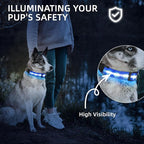 Super Bright LED Dog Collar - Fully Waterproof & Adjustable Glow Collar - USB-C Rechargeable for Night Walking, Safety - Flashing Lighted Collar for Dogs(Blue,Medium)