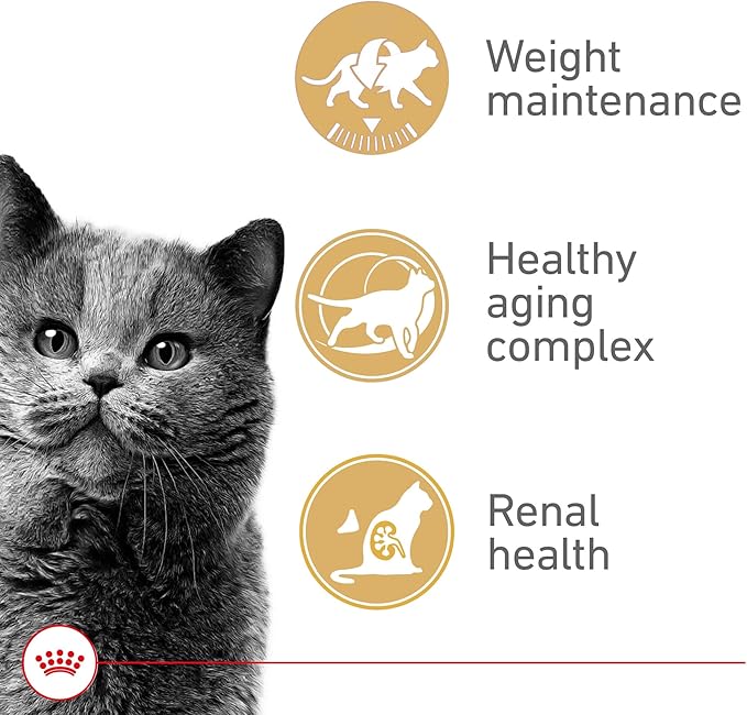 Royal Canin Appetite Control Spayed/Neutered 12+ Dry Adult Cat Food, 7 lb bag