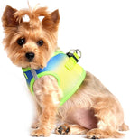 DOGGIE DESIGN American River Dog Harness Ombre Collection - Cobalt Sport XS
