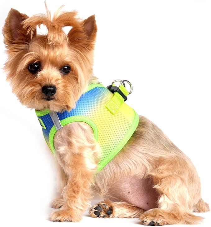 American River Dog Harness Ombre Collection - Colbalt Sport XXXL by Doggie Design