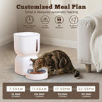 Automatic Cat Feeder and Water Dispenser FW1, 3L Cat Food Dispenser with Locking Lid, Two-in-One Set Timed Dog Feeder for Cats and Puppies, Pet Feeder with Portion Control, 4 Daily Meals