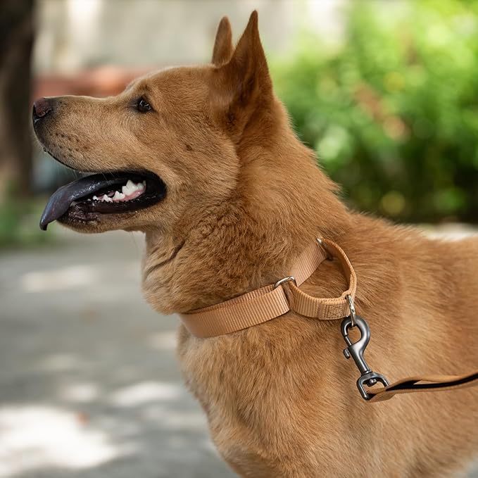 Hyhug Martingale Collar for Dogs Large Pink |Escape - Proof Heavy Duty Nylon Durable No Pull, Ideal for Training & Daily Walks
