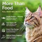 Nature's Protection Superior Care Red Cats Grain Free Dry Cat Food with Herring, Adult All Breeds Red Coated Cats, No Tear Stains, No Hairball 3.3 lb