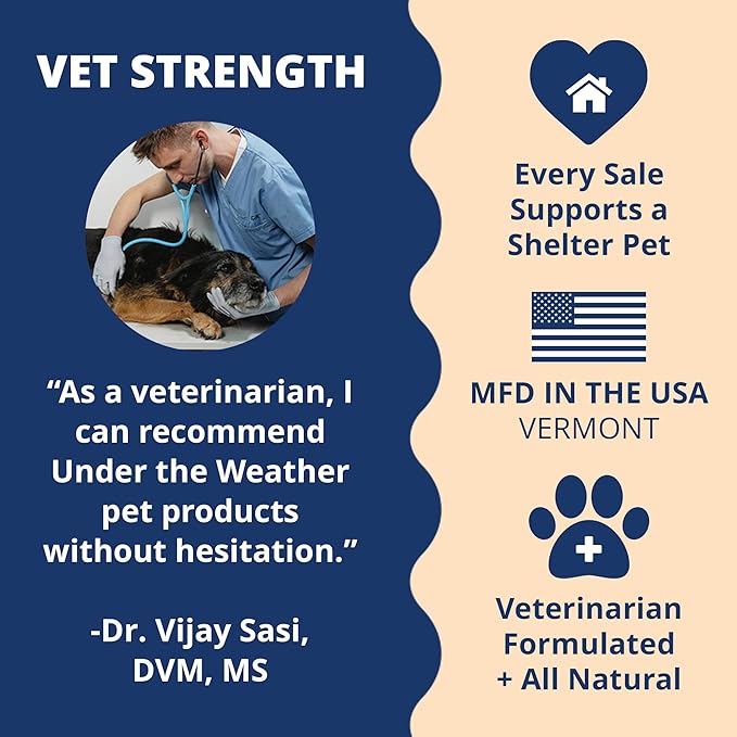 Under the Weather Ready Cal Powder for Dogs, High-Calorie Weight Gainer & Appetite Stimulant, Dog Energy Booster Veterinarian-Approved Pet Supplement with Vitamins & Minerals, Chicken Flavor |10.58 oz