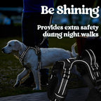 rabbitgoo Dog Harness for Large, No Pull Pet Harness with 3 Buckles, Adjustable Soft Padded Vest with Control Handle, Walking Reflective Pet Vest for Large Dogs, Black, L