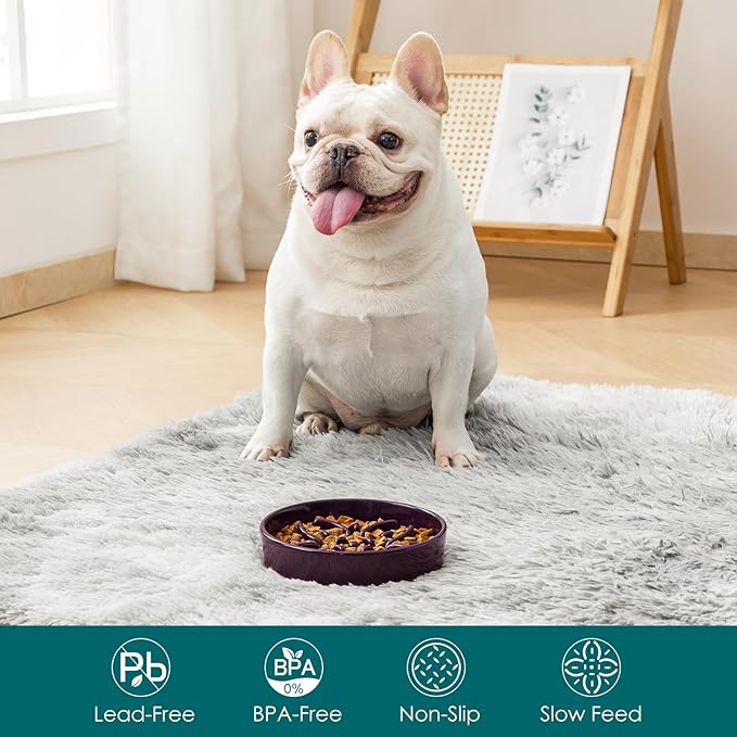 vancasso Ceramic Slow Feeder Dog Bowls, Puzzle Dog Food Bowls with Floral Maze, Anti -Slip Pet Food Dish for Small Breed, 0.6 Cups, Purple