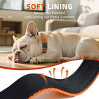 Reflective Dog Collar, Soft Neoprene Padded Nylon Pet Collar with Quick-Release Buckle, No-Choke Design Adjustable for Small Dogs,Orange,S