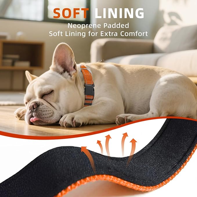 Reflective Dog Collar, Soft Neoprene Padded Nylon Pet Collar with Quick-Release Buckle, No-Choke Design Adjustable for Puppy Dogs,Orange,XS