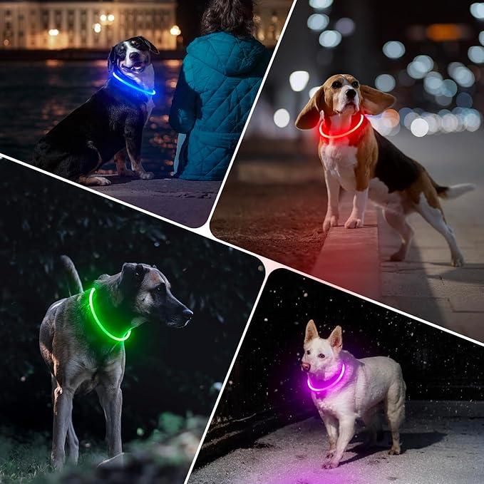 BSEEN Light Up Dog Collar - 360° Visible Rainproof LED Dog Collar Rechargeable - TPU Cuttable Glowing Pet Collar for Small Medium Large Dogs - Safety Dog Lights for Night Walking& Camping (Blue 70cm)