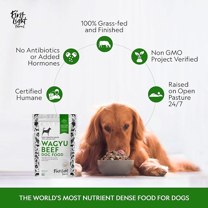 First Light Farms Freeze-Dried Dog Food Topper for Picky Eaters | High Protein Treat | Grain-Free Formula for All Breeds & Life Stages | Premium Wagyu Beef & Certified Humane | 1.5lb Bag