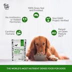 First Light Farms Freeze-Dried Dog Food Topper for Picky Eaters | High Protein Treat | Grain-Free Formula for All Breeds & Life Stages | Premium Wagyu Beef & Certified Humane | 1.5lb Bag