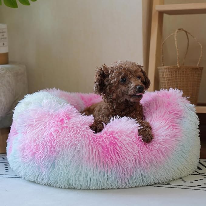Rainbow Donut Dog Bed Small Washable,Calming Dog Bed for Small Dogs,20 inches Donut Fluffy Pet Beds,Anti Anxiety Round Fits up to 10 lbs Soft Warm Pets Beds for Puppy Dogs Indoor
