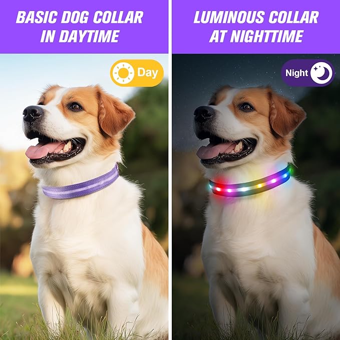 LED Dog Collar, Light Up Dog Collar, USB Rechargeable - Brightest Dog Lights for Night Walking, 6 Light Modes, Adjustable for Dog Safety(Small, Purple)