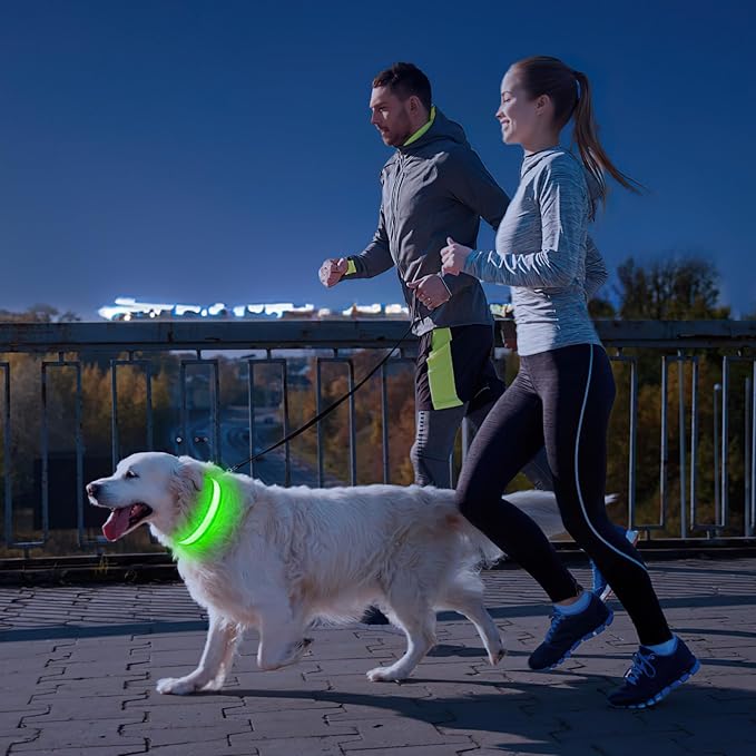 PCEoTllar Light Up Collar - Rechargeable LED Dog Collar with Automatic 7-Color Changes, Water Resistant, High Visibility, Bright Glow (Green, S)
