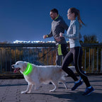 PCEoTllar Light Up Collar - Rechargeable LED Dog Collar with Automatic 7-Color Changes, Water Resistant, High Visibility, Bright Glow (Green, S)