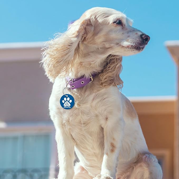 MYLUCKYTAG QR Code Stainless Steel Pet ID Tag - Personalized Online Profile, Location Alert Email, Digital and Durable Dog Collar Tag - Engraved