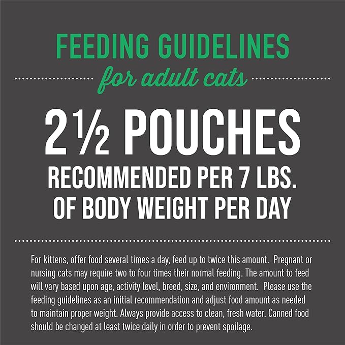 Tiki Cat Aloha Friends, Chicken, Pumpkin & Lamb, Grain-Free & High Moisture, Wet Cat Food for All Life Stages 2.5 oz. Pouch (12 Count)
