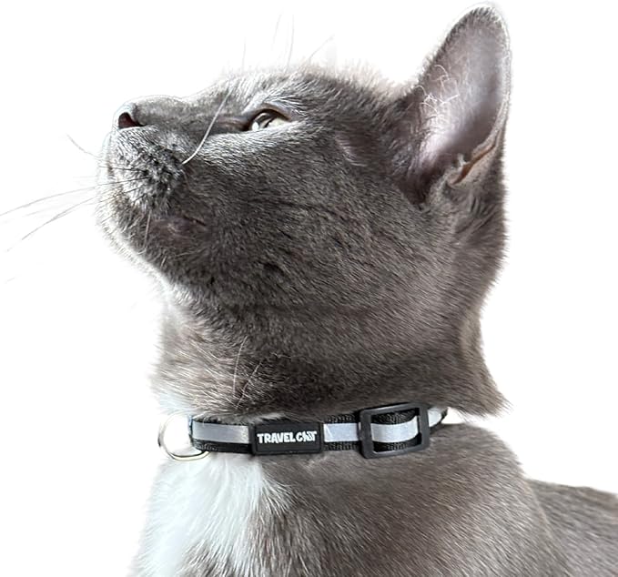 Travel Cat Breakaway Cat Collar - Black Adjustable Cute Cat Collar with Quick Release Safety Buckle for Boy and Girl Cat - Nylon 8-13 inch Length Kitten Collar with Metal D-Ring, Machine Washable