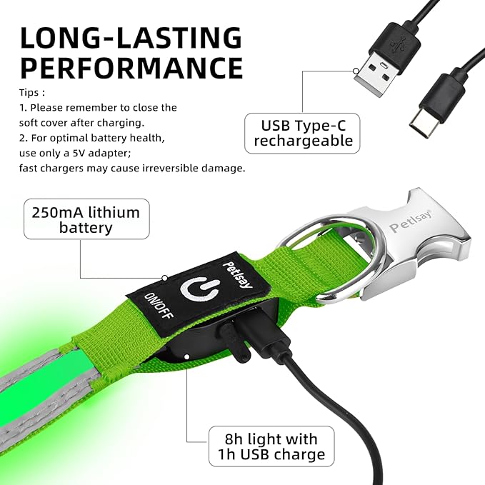 PetIsay LED Dog Collar Metal Buckle - Heavy Duty Light up Collars - Rechargeable IP68 Waterproof - Lighted Dog Collar for Night Walking, Hiking, Camping (Large, Green)