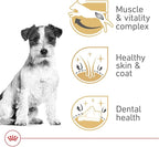 Royal Canin Jack Russell Terrier Adult Dry Dog Food, 10 lb bag