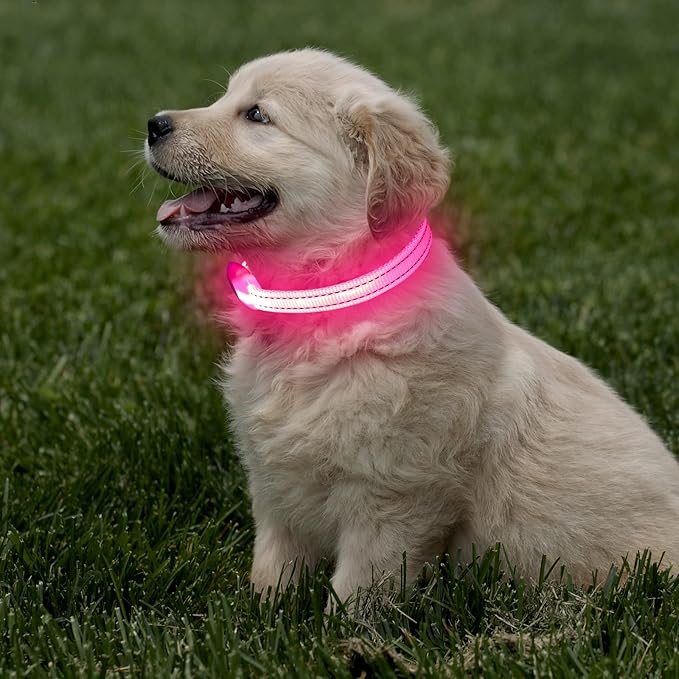 Light Up Collar for Small Dogs& Cats, Reflective LED Dog Collar Rechargeable Puppy Safety Lights for Nighttime Walking (Pink)