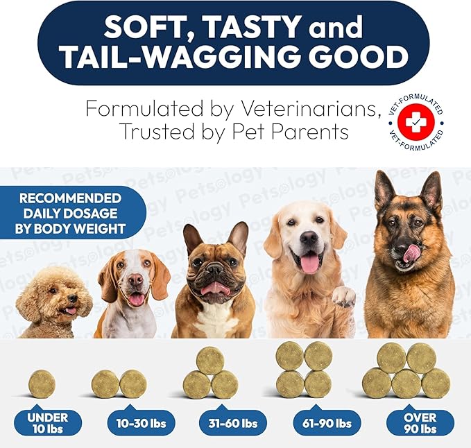 Omega 3 Fish Oil for Dogs - 170 Chews - Omega 3 for Dogs Itchy Skin & Allergy Relief - Skin & Coat Supplement - EPA & DHA Fatty Acids - Dog Anti Shedding & Hot Spot Treatment - Salmon Oil