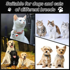 Smart Pet Tag with E-Ink Screen – Personalized Info & Image Display – Waterproof, Durable, No Subscription – Easy Update via Free App – Tap to Switch Hidden Contact & Image – for Dogs & Cats